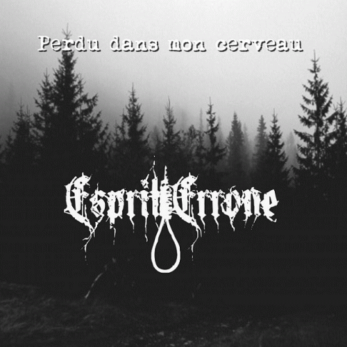 Esprit Erroné : Perdu dans Mon Cerveau